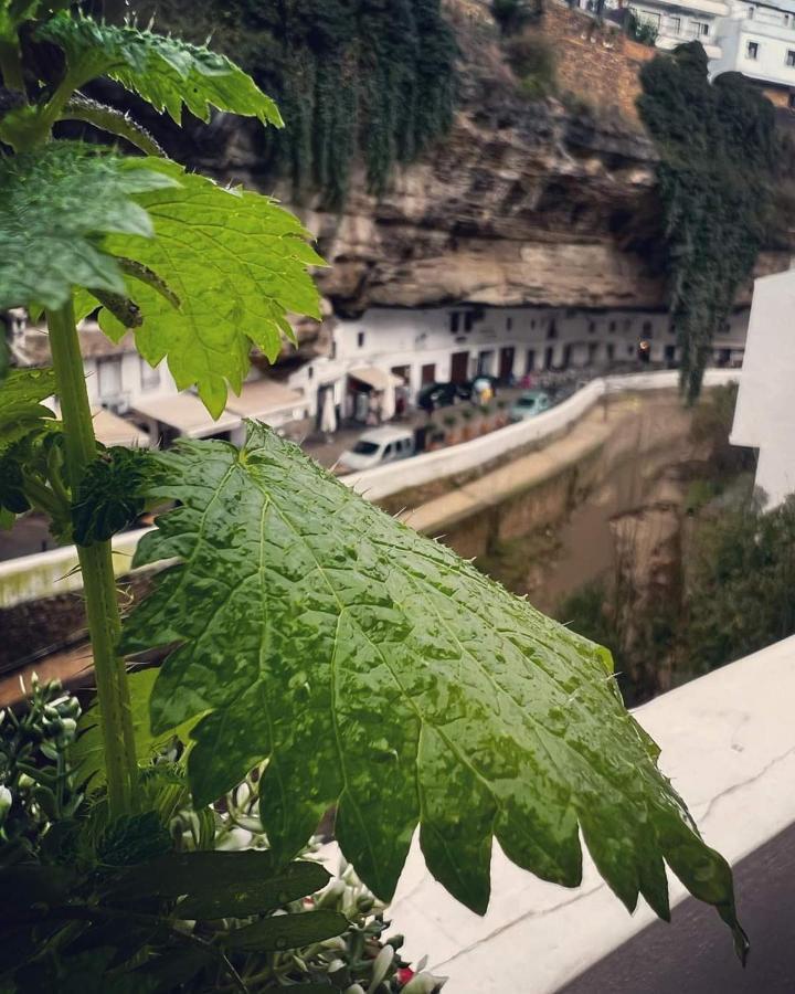 Вилла Casa Bajo La Roca Setenil De Las Bodegas Экстерьер фото